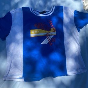 Blue and White Graphic Crop Top